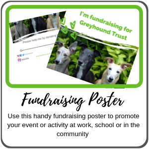 Fundraising Poster