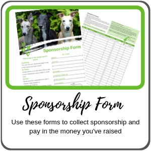 Sponsorship Forms