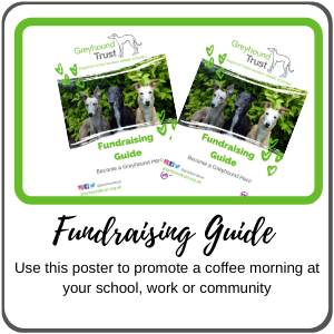 fundraising guide tab