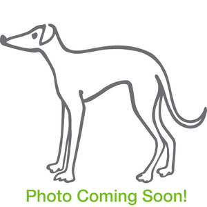 Homer photo coming soon listing